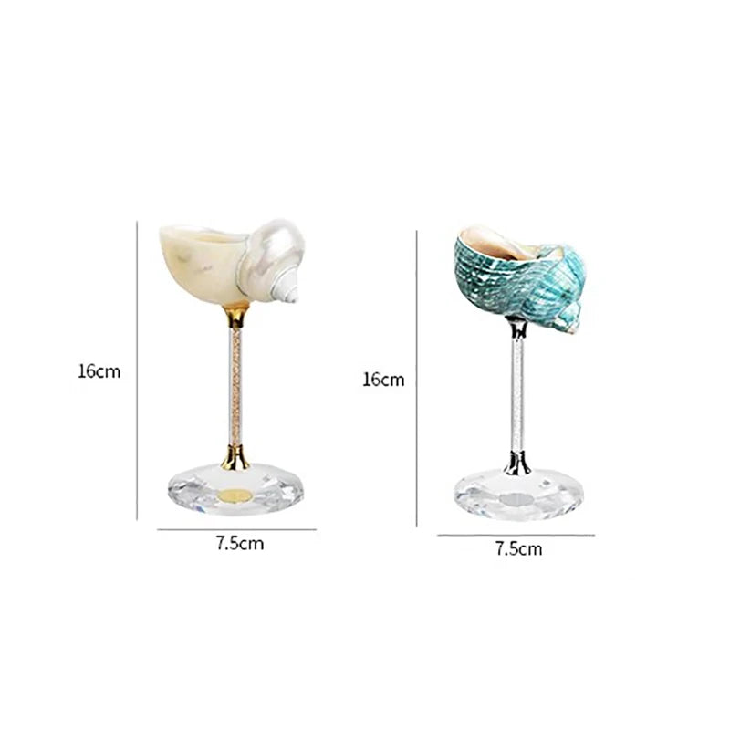 Natural Conch Shell Drinking Glasses