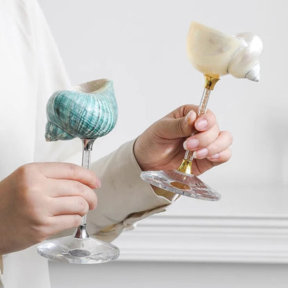 shell conch champagne glass